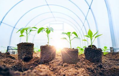 Eco-Friendly Options